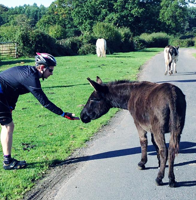 A New Forest pony enjoying a chat with cyclist Robbie.