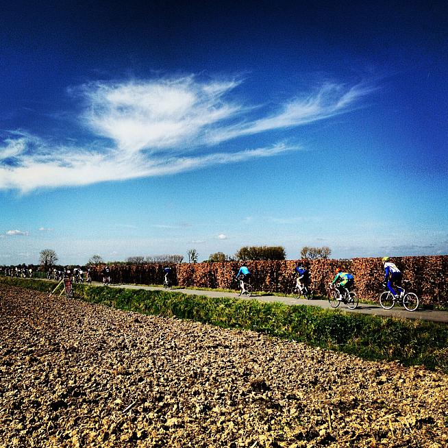 Passing by Flanders' fields.