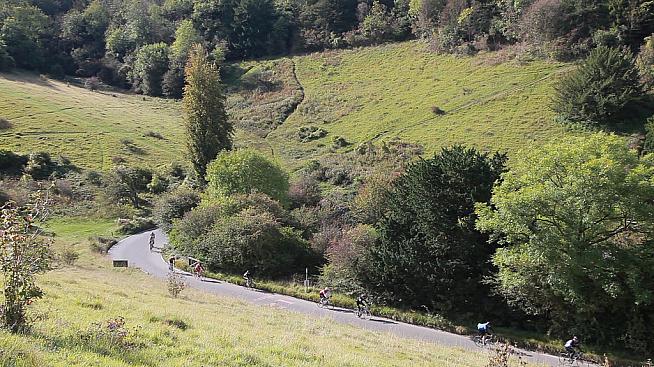 Some of that lush green Surrey countryside. Photo: UK Cycling Events
