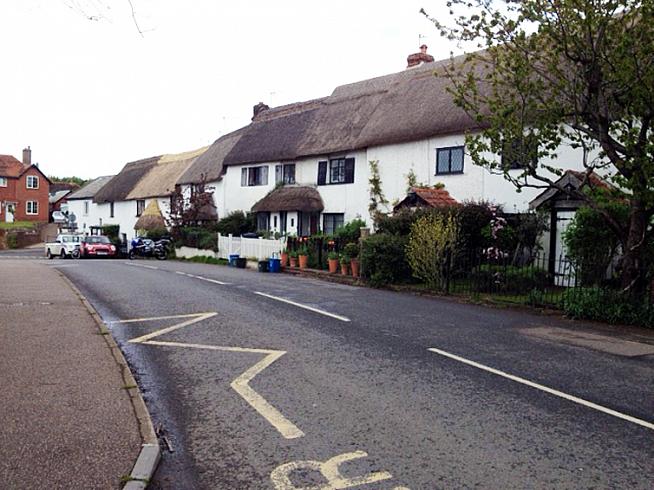 Photogenic thatch in Broadclyst.