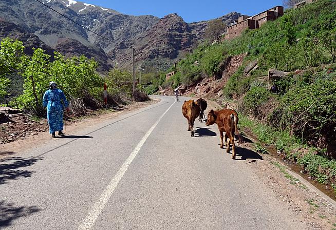 The route takes in scenes of rural Moroccan life.