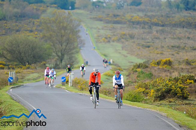 The New Forest is popular among cyclists but the feeling is not always mutual.