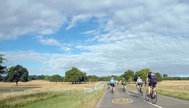 Rolling through a sunny Richmond Park.