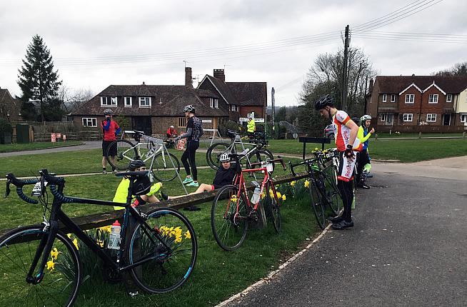 Springy vibes at the first feed station.