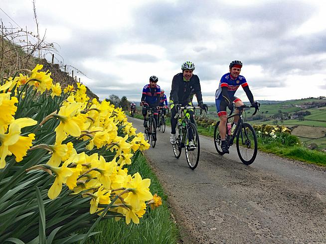 Springtime in Yorkshire.