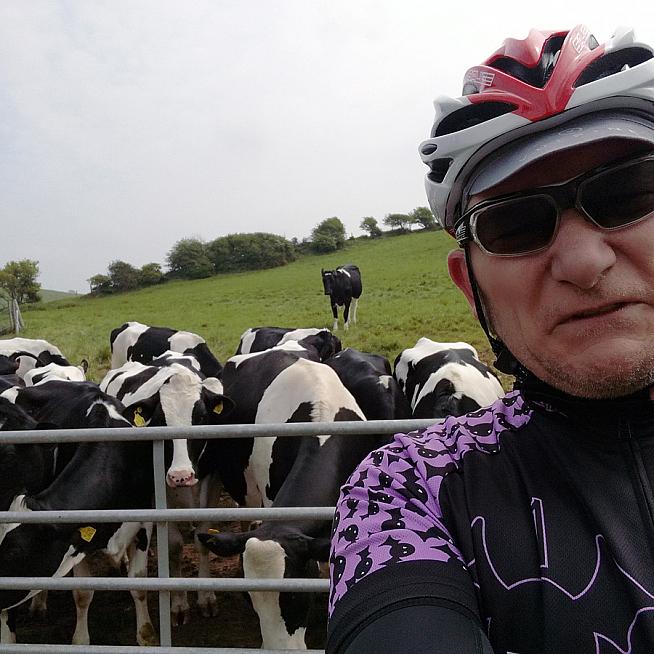 Moo-vie star selfie at the pit stop.