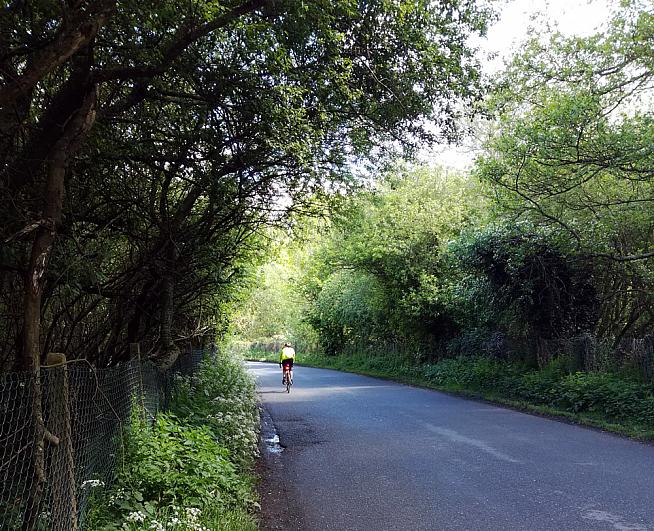 The emerald lanes of Surrey.