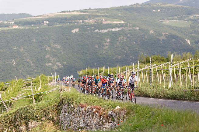 Riders in the granfondo can choose to compete in the European Granfondo Championships for an extra €15.