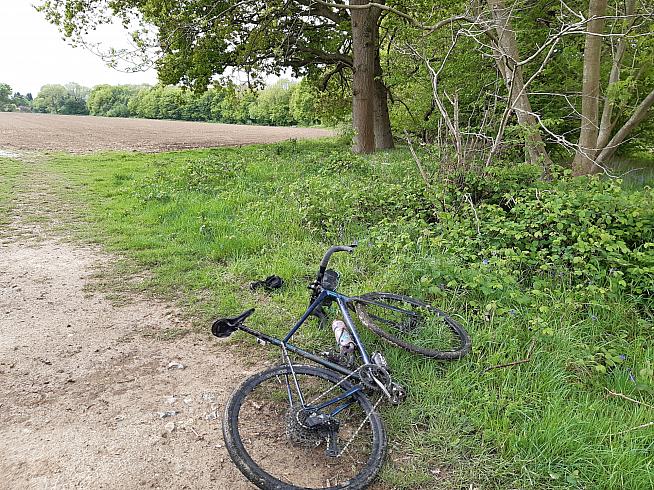 On firmer ground the Cinturato tyres are fast rolling and sure underfoot.