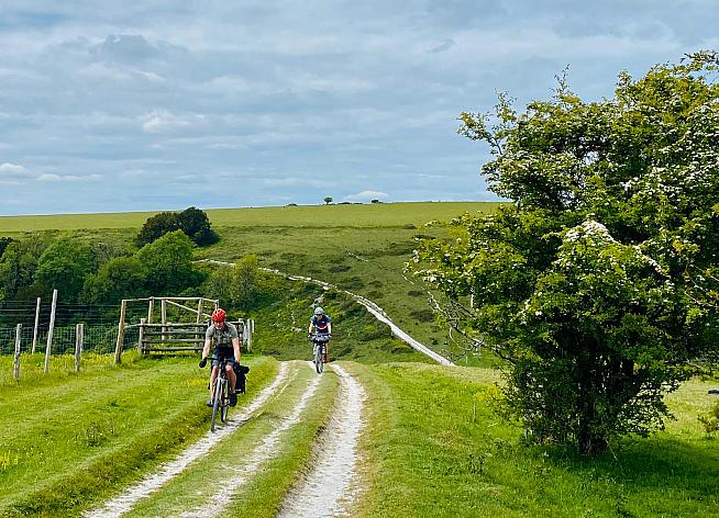 The South Downs Way is a classic route along chalk trails.