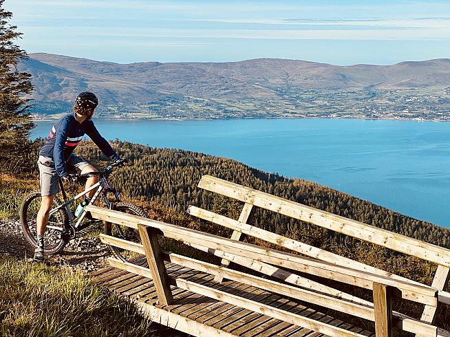 Overlooking Carlingford Lough on the Rostrevor red trail.