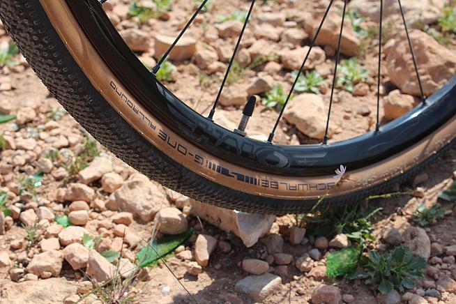 Tubeless ready alloy rims stand up to gravel and even light MTB riding.