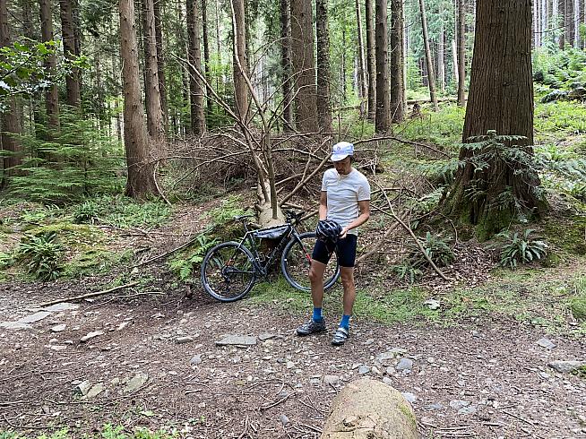 Just staring at a helmet in the forest. This is normal behaviour.