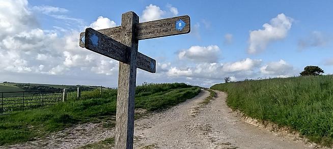 Every which way and loose-track on the South Downs Way.