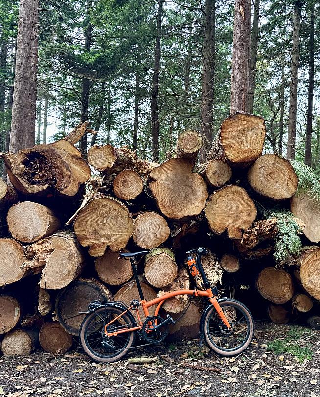 Logpile: check. Now it's officially a gravel bike.